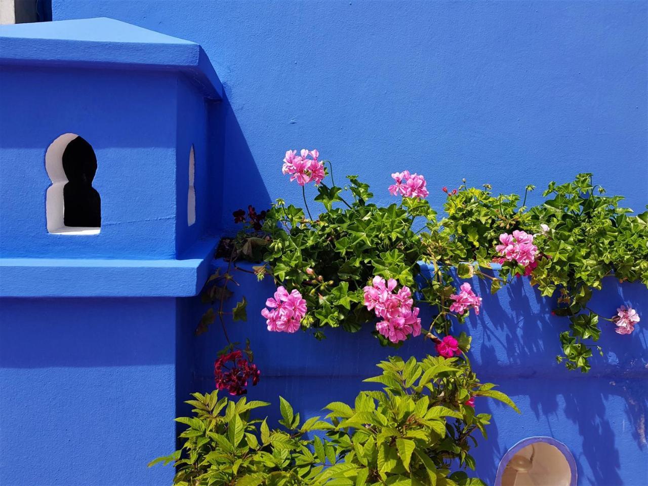 Dar Manara - Medina D'Asilah Hotel ภายนอก รูปภาพ